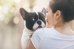 Co adoptowany pies powiedziałby swojemu właścicielowi?