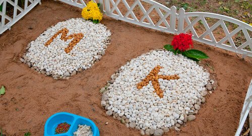 cmentarze dla zwierząt groby