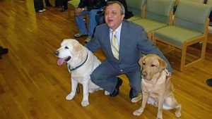 Pies uratował swojego pana w atakach z 9/11