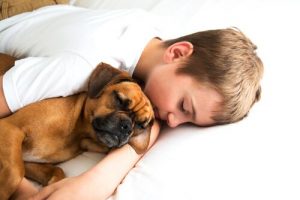 Chcę Cię w moich ramionach! List chłopca do psa