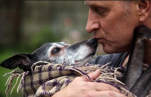 Ostatnie pożegnanie Walnuta