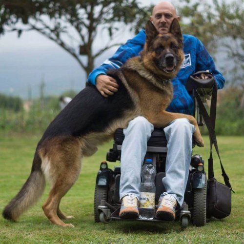 bezwarunkowa miłość lobo