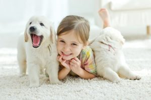 Zwierzęta domowe - dlaczego czynią dzieci zdrowszymi?