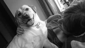 Pies okazał swe uczucia ratując życie właścicielowi