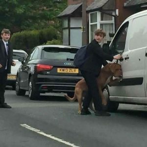 Bradley, chłopak, który uratował psa przed uduszeniem