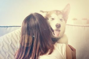Nadopiekuńczość wobec psa - staraj się jej unikać