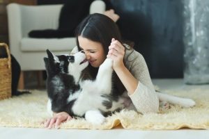 Psy rozumieją ludzkie emocje – udowodnione naukowo