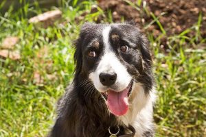 Przyciskanie głowy do twardych powierzchni - co to oznacza?