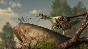 Pochodzenie ptaków - skąd się wzięły?