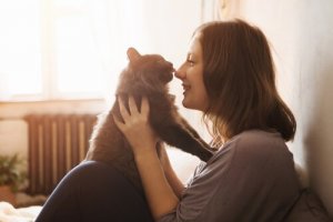 Przygotowania do adopcji kocięcia