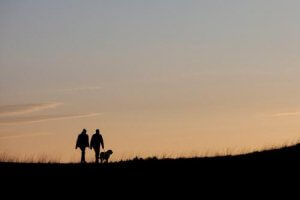 Bob - pies, który zgubił się podczas zwiedzania