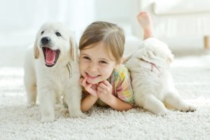 Gdy dzieci chcą dostać zwierzaka na święta – co zrobić?