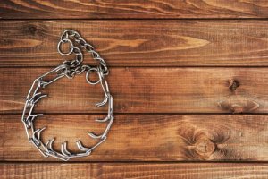 Obroża dla psa - która z nich jest prawnie zakazana?