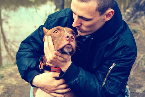 Właściciel trzyma pitbulla