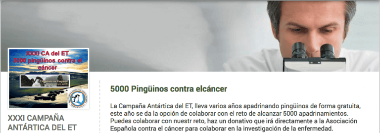 Adopcja pingwina a walka z rakiem