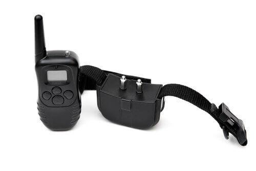 konsekwencje stosowania obroży karzących