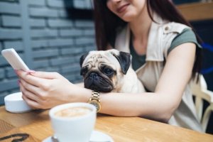 Millennialsi i zwierzęta – nietypowa relacja