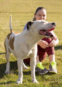 "Pies niania", czyli pitbull jakiego nie znacie