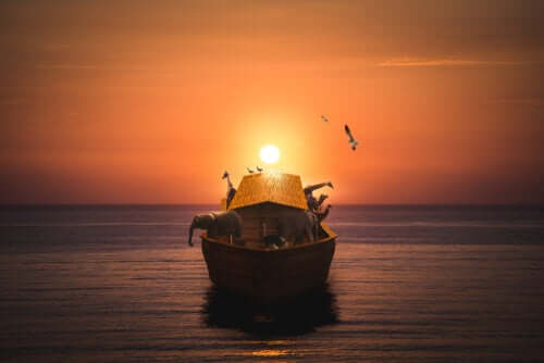 historia kotów arka