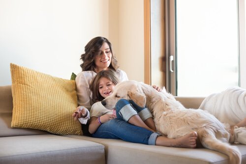 Kontakt dzieci z psami na sofie