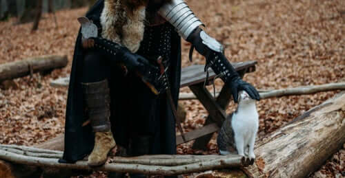 koty w średniowieczu