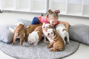 Ile zwierząt mogę legalnie mieć w domu?