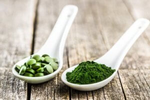 Chlorella dla psów: najważniejsze korzyści