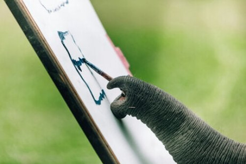 Słoń, który maluje trąbą