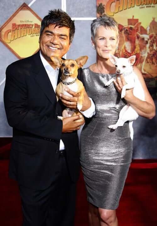 Cziłała z Beverly Hills