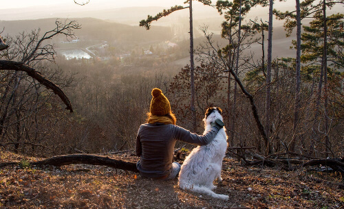 Zachód słońca i kobieta z psem