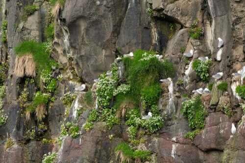 natura etologia etolog