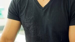 Sierść psa w domu - wskazówki jak ją usunąć