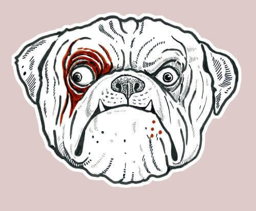 wskazówki jak narysować zwierzę