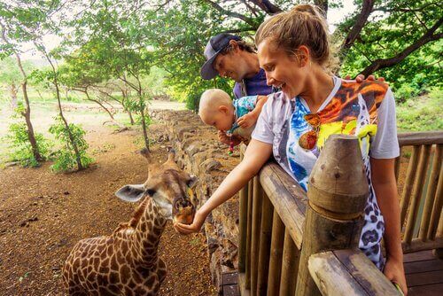 Karmienie zwierząt w zoo może doprowadzić do zatrucia