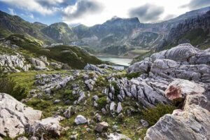 Hiszpania: gdzie można zobaczyć dzikie zwierzęta?
