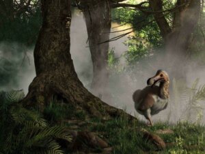 Ptak Dodo - historia wymarłego gatunku