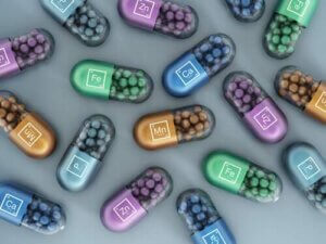 Syntetyczne witaminy i minerały w karmie dla psów