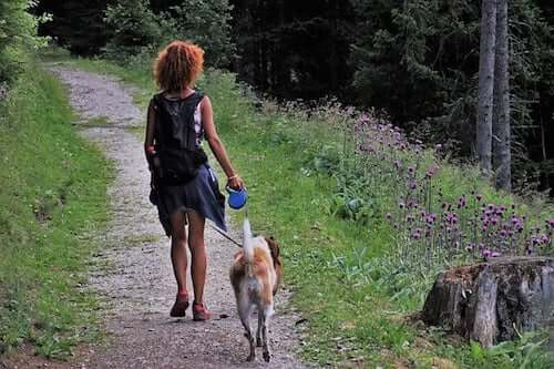 Biwak z psem - oto kilka pomocnych wskazówek