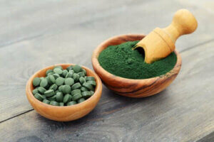 Spirulina dla psa – pięć korzyści zdrowotnych