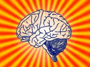 Czym jest psychobiologia i jakie są jej założenia?