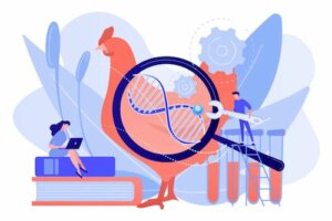 Czym jest selekcja genetyczna zwierząt domowych?