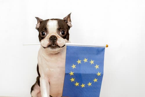 Europejska konwencja o ochronie zwierząt domowych