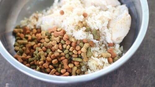 karma dla psów z ryżem