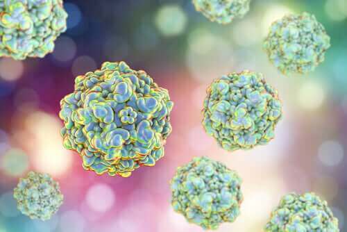 Zespół przewlekłego zmęczenia u zwierząt a mikroorganizmy