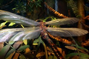 Gigantyczne owady, które kiedyś rządziły planetą