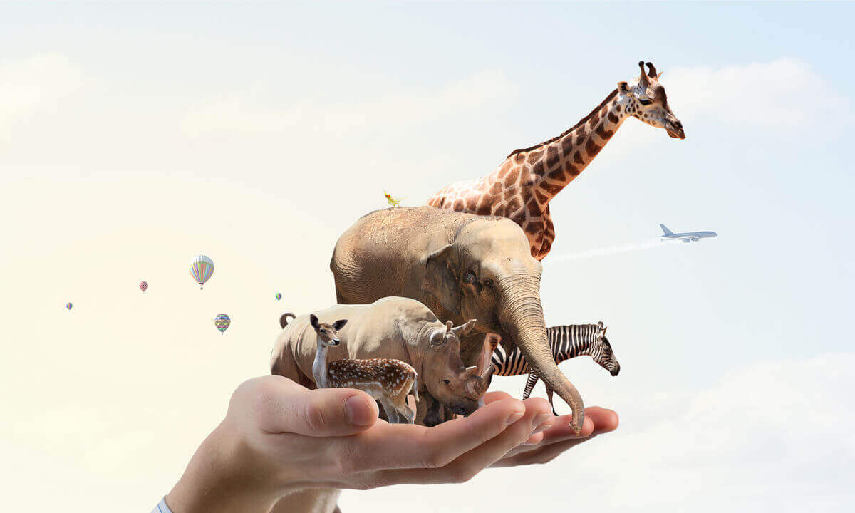 Co to jest produktywność ekosystemu