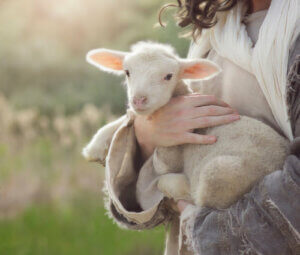 Biegunka u małych przeżuwaczy – dowiedz się więcej