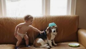 Dziecko pisze list do zmarłego psa i otrzymuje odpowiedź