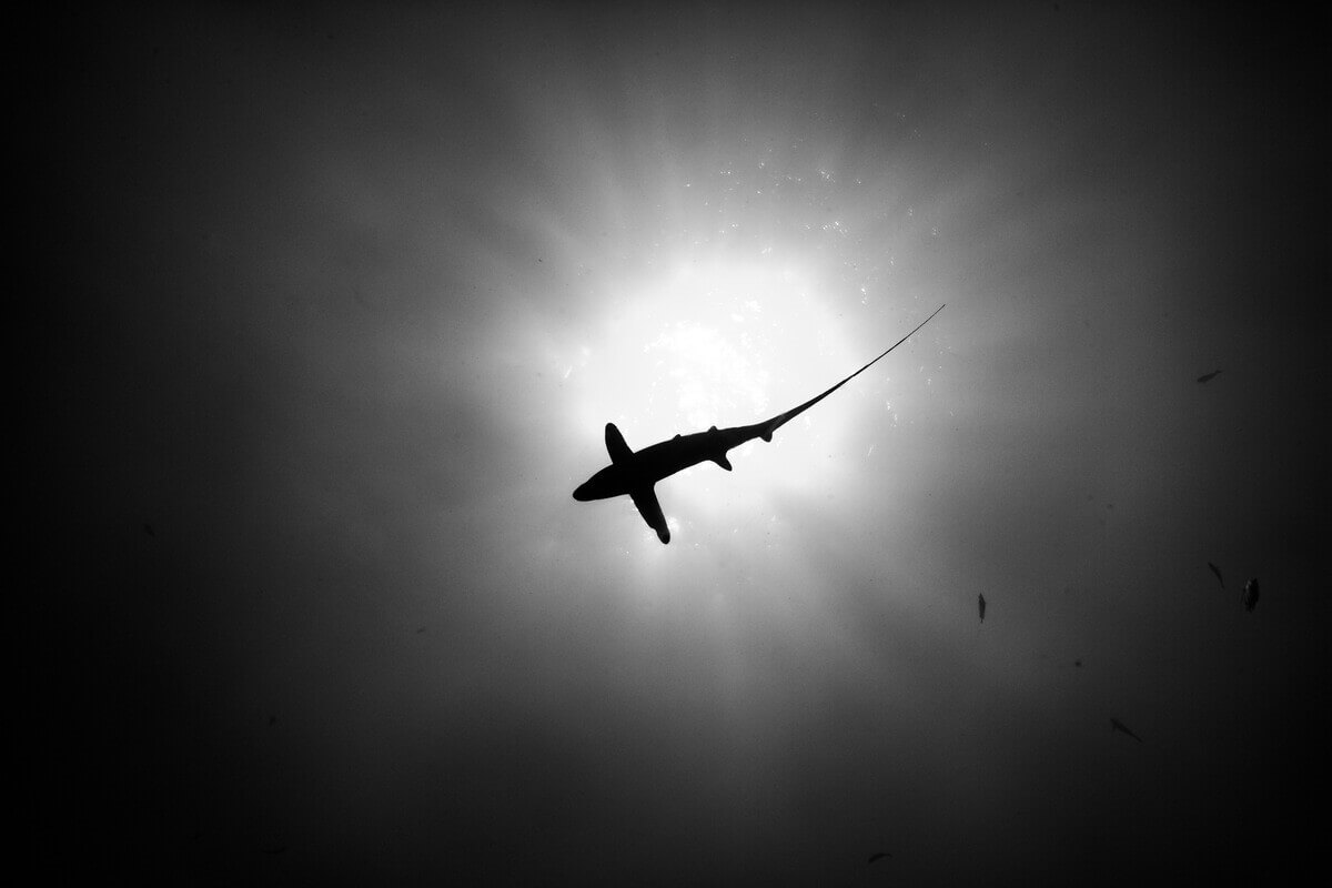 Some figure