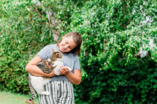 Dziewczynka z kotem, a jak wygląda Życie z kotami